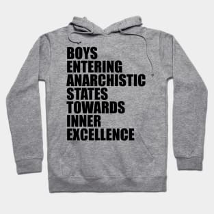 B.E.A.S.T.I.E. BOYS Hoodie